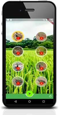 เสียงนกคุ้มอืด android App screenshot 0
